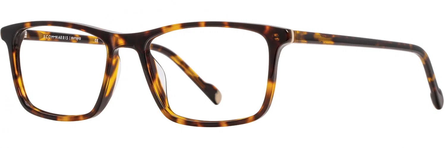 Scott Harris SH990 Eyeglasses - view 12